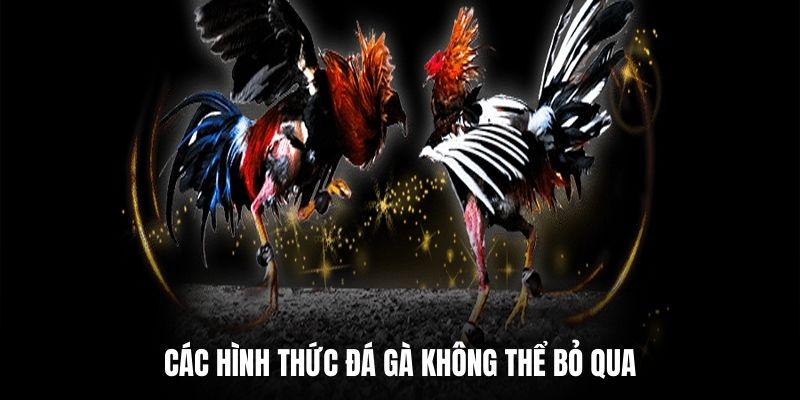 Các hình thức đá gà không thể bỏ qua.